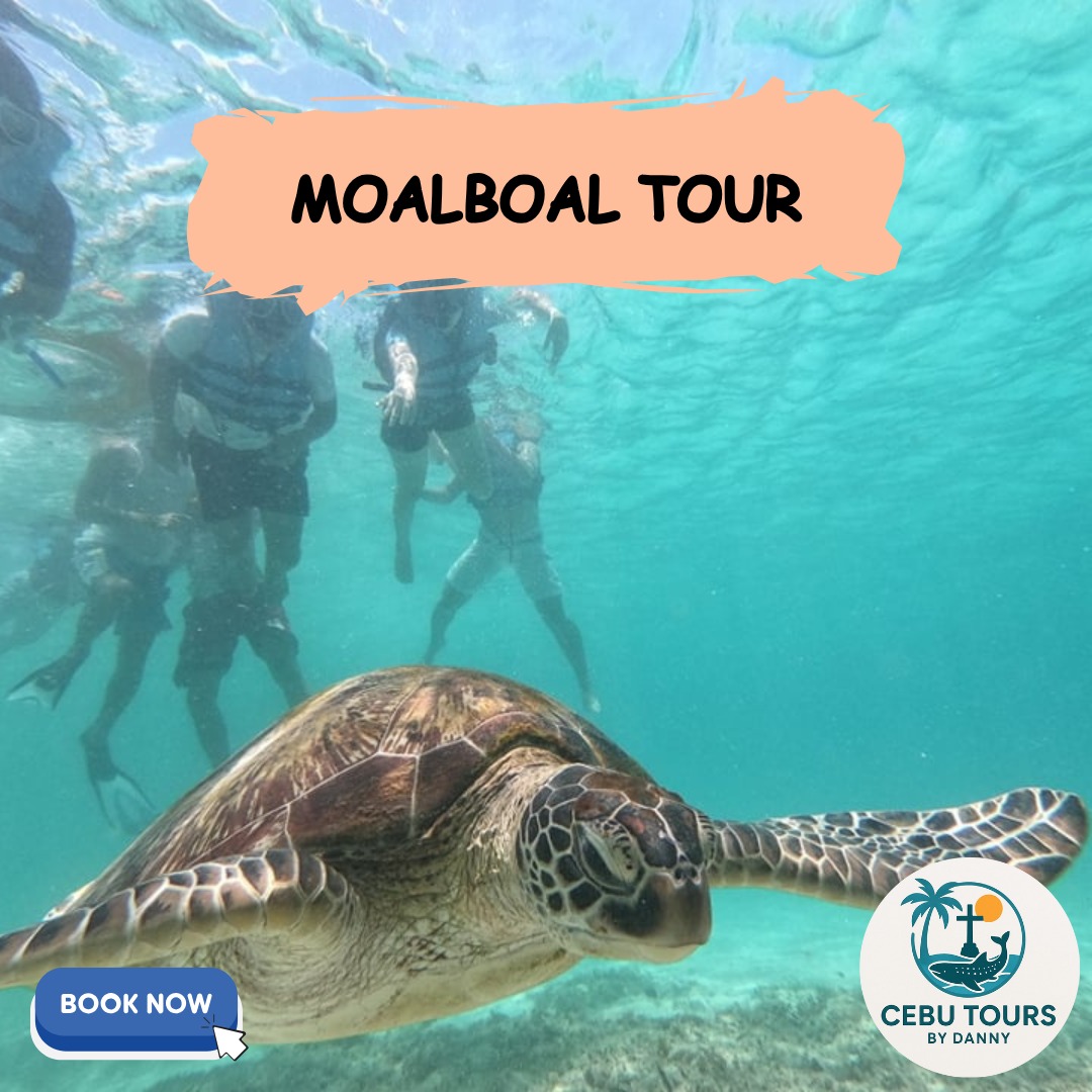 Moalboal Tour